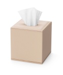 POJEMNIK NA CHUSTECZKI SHAPE-BEIGE